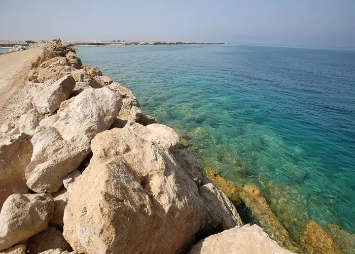 1558439752_هندورابی 9